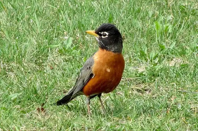 твитер бывшей содержанки tweet media