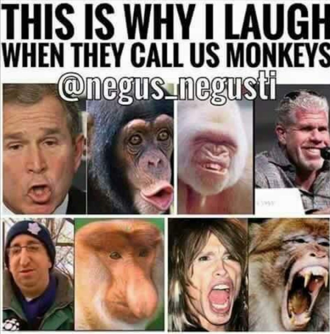 CommandersFan tweet media