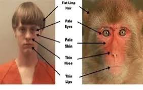 CommandersFan tweet media