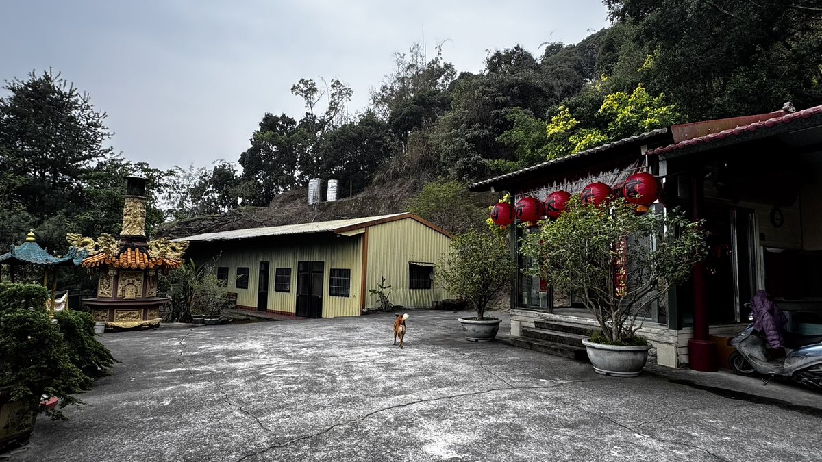 性愛馬拉松1號選手 tweet media