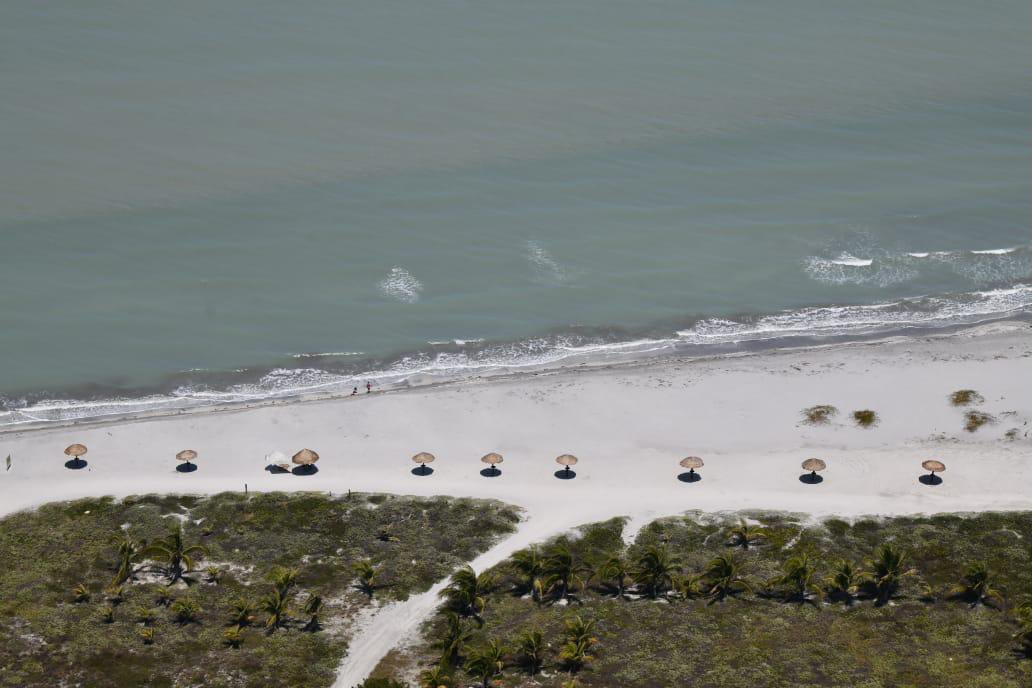 Pemex's tweet photo. #Pemex intensifica el monitoreo y limpieza en playas del Golfo de México para garantizar condiciones seguras y aptas para los visitantes durante el próximo periodo vacacional.

El trabajo en territorio continúa de manera coordinada y preventiva, en conjunto con el Grupo Interinstitucional del Gobierno de México.

@SEMARNAT_mx @SEMAR_mx @SENER_mx @agencia_asea @PROFEPA_Mx