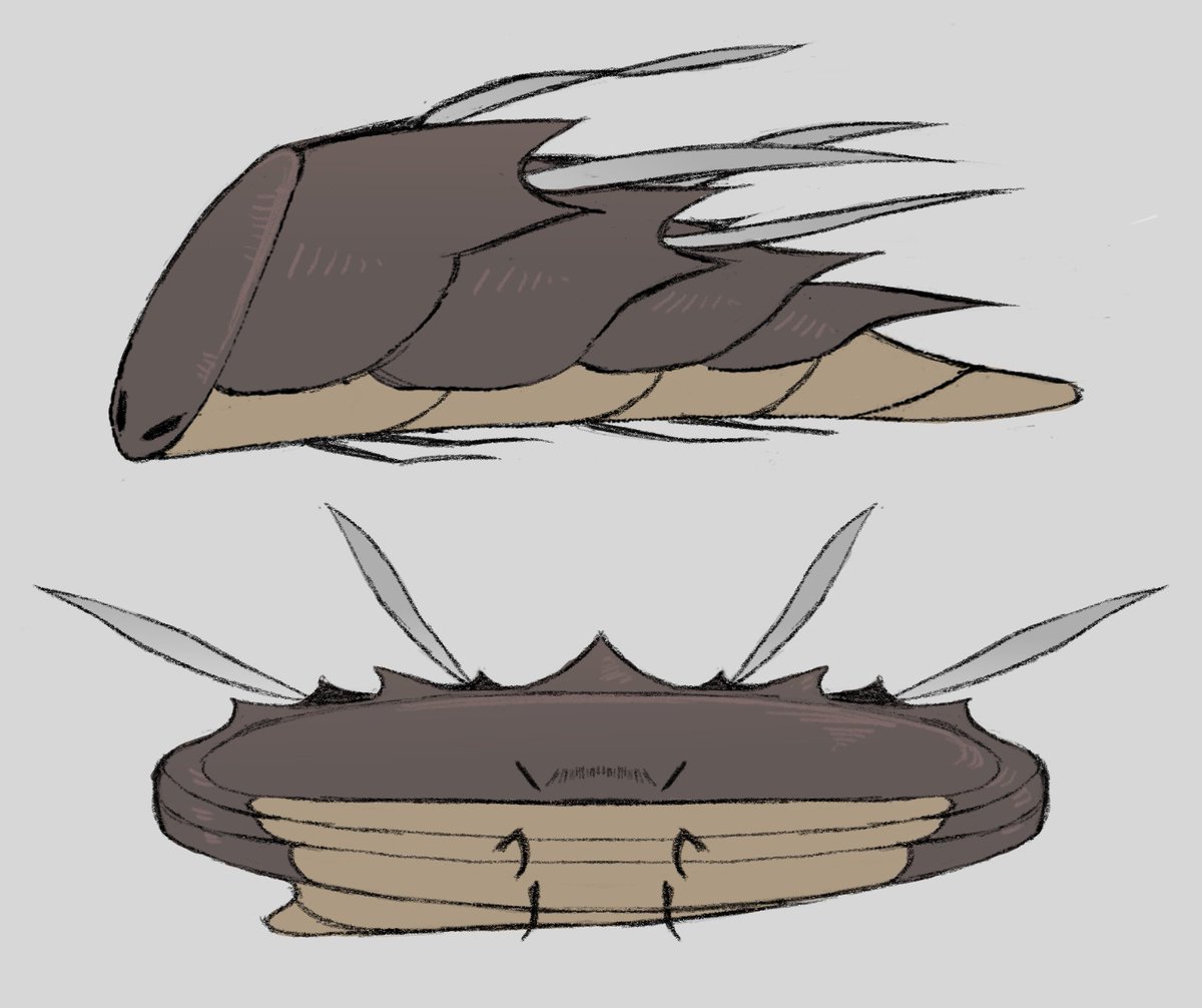 • Atta • tweet media