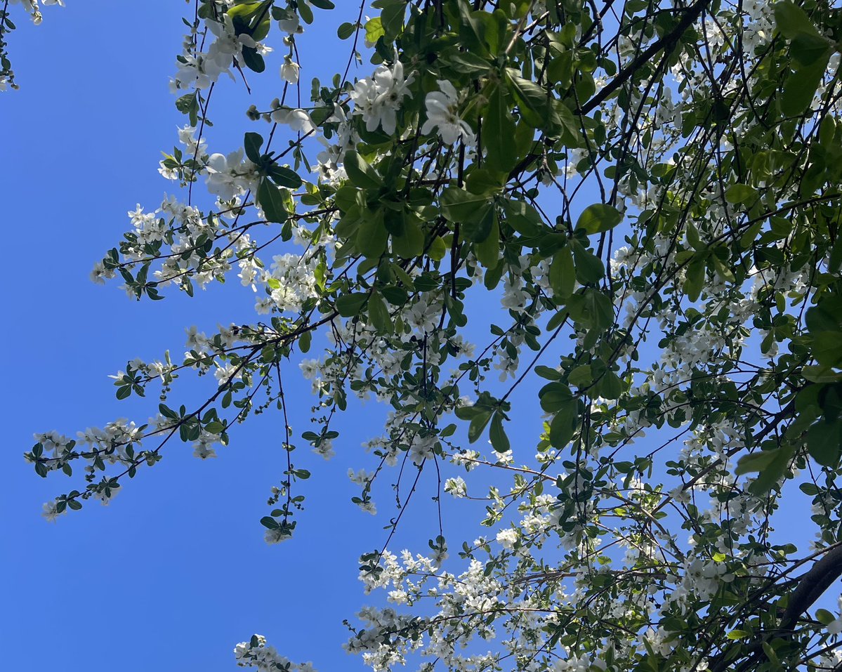 🦋💕 tweet media