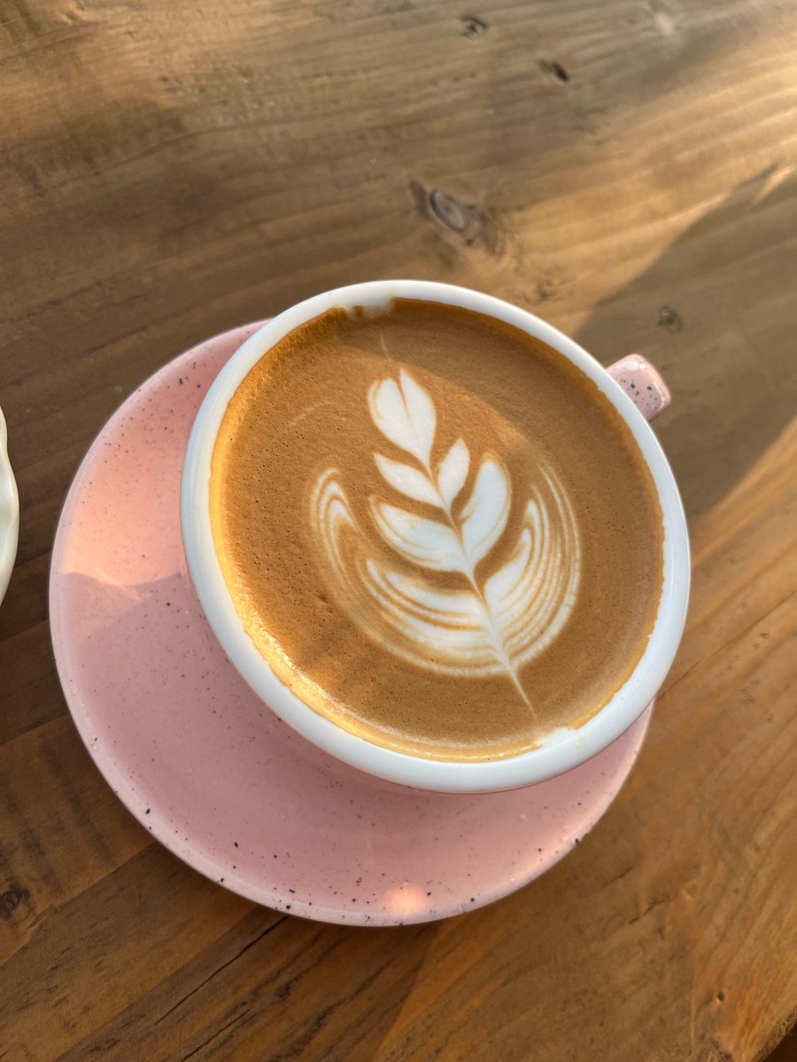 julie mosca tweet media