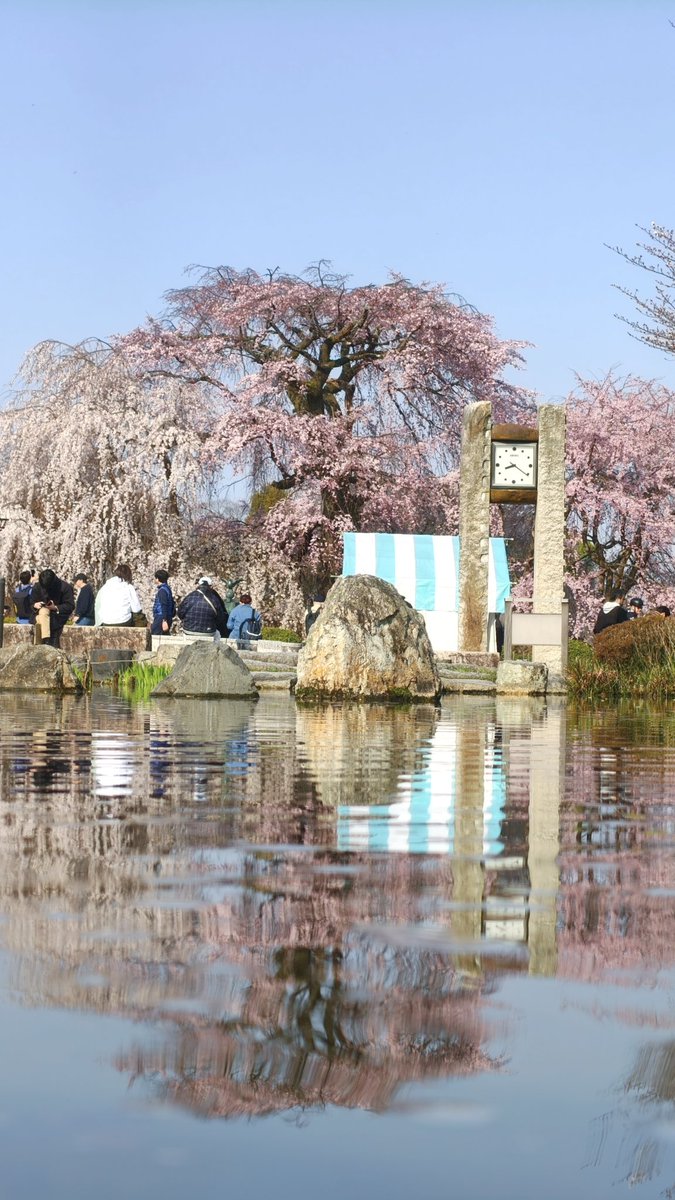 馬走日 tweet media