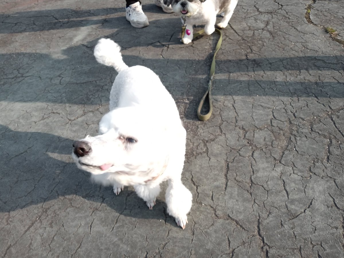 セキガミ タケシ　新刊『中国共産党聖地巡礼』好評発売中！ tweet media