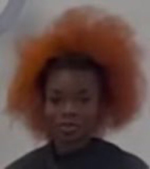 NaturaBella tweet media