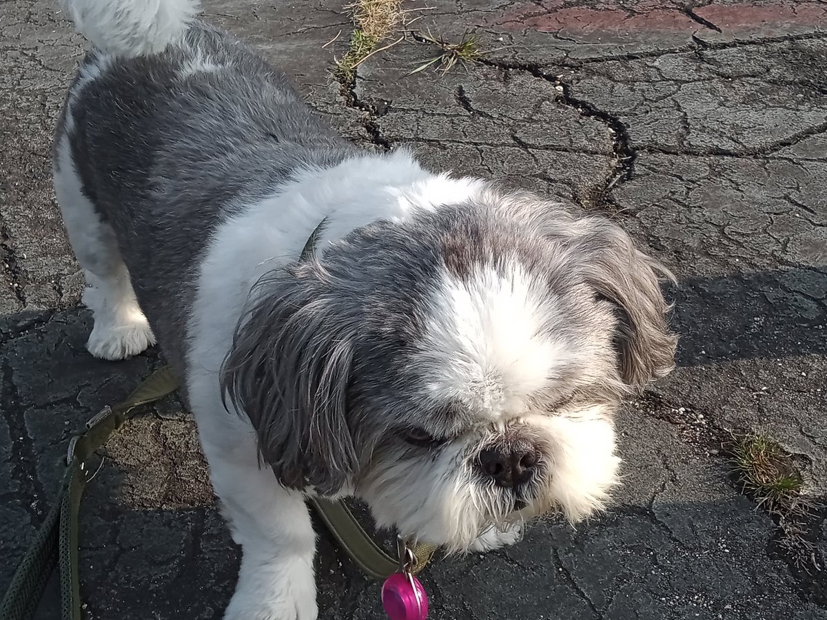 セキガミ タケシ　新刊『中国共産党聖地巡礼』好評発売中！ tweet media