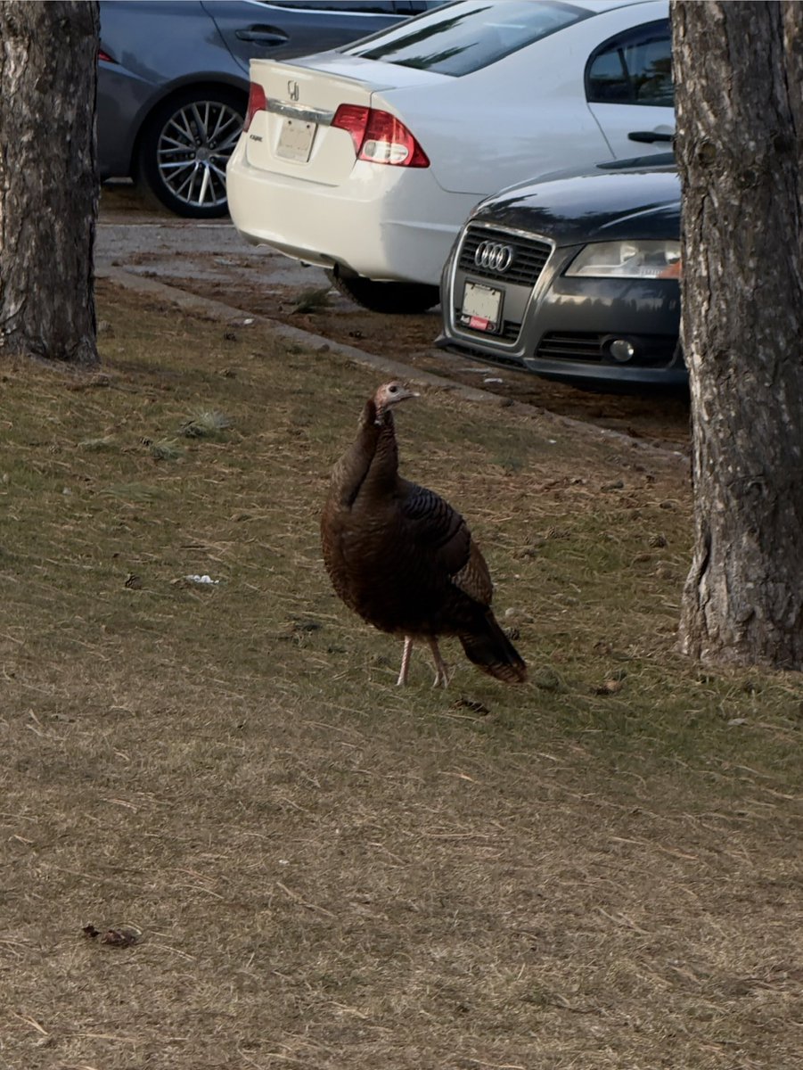 Met*lcore Cl*wnboy tweet media