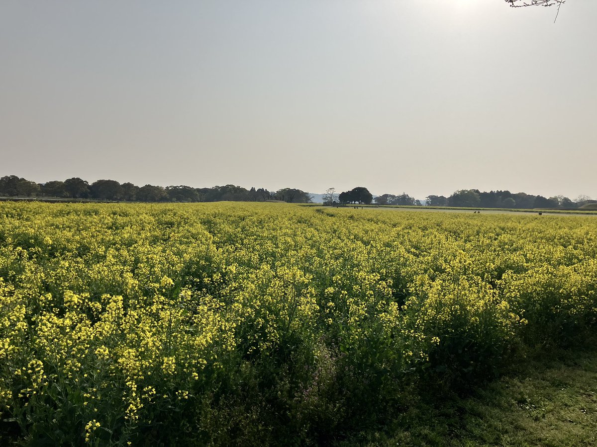 超☆ドッキングラジオ tweet media