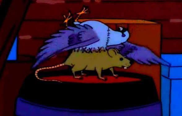 Marcela Tveitan® 💚 tweet media