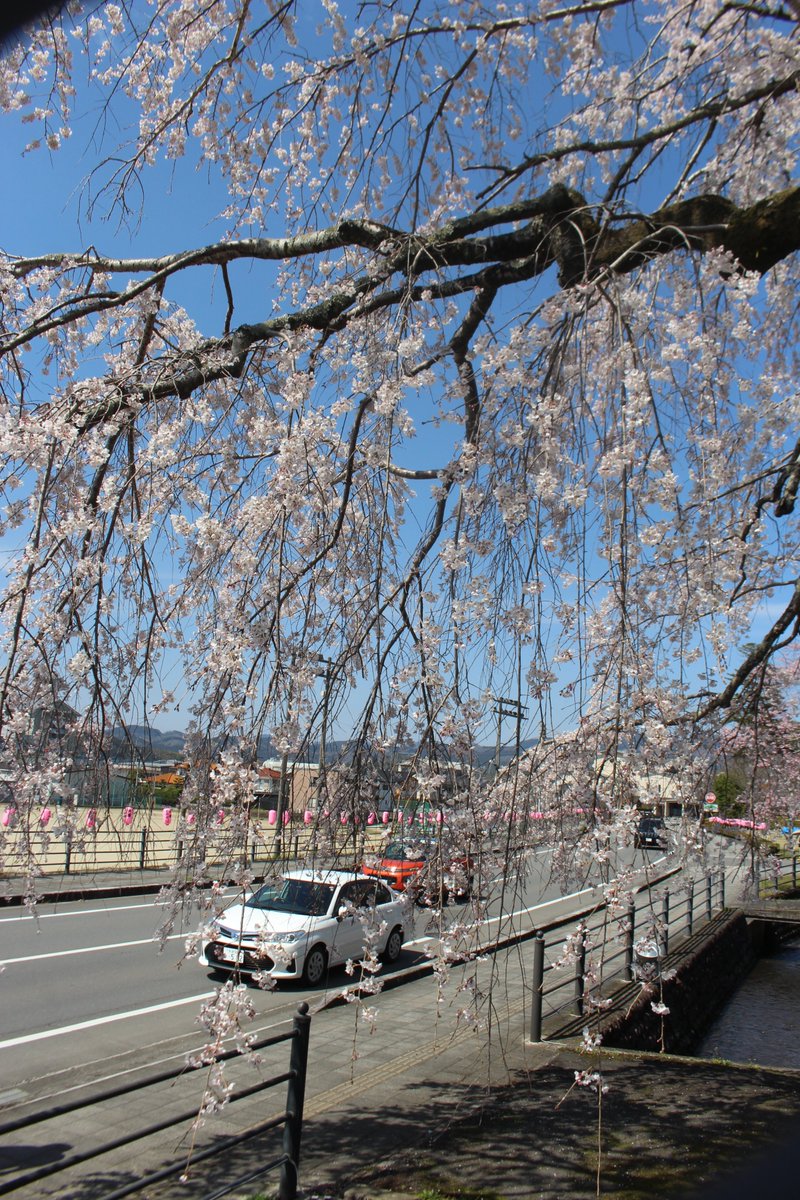 建　茂 tweet media