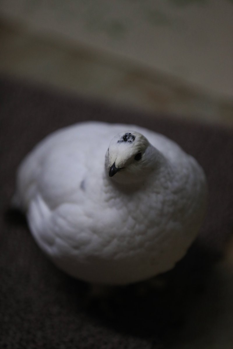 写庵@C108申込完了 tweet media