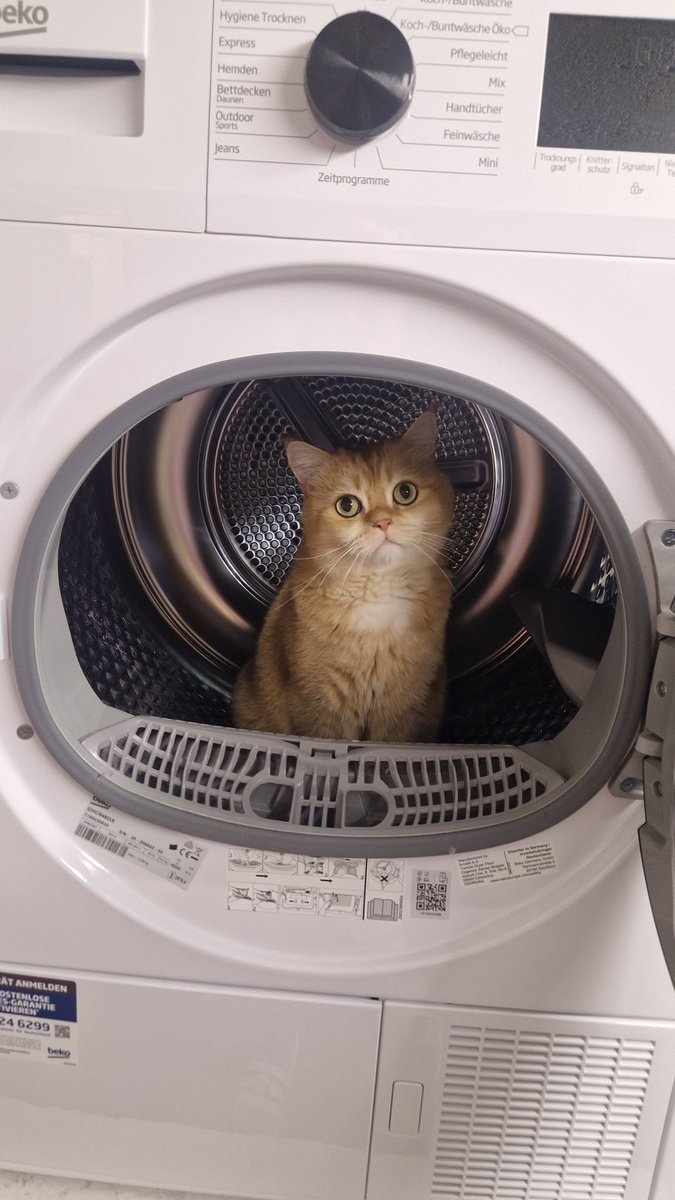 Heliuwum tweet media