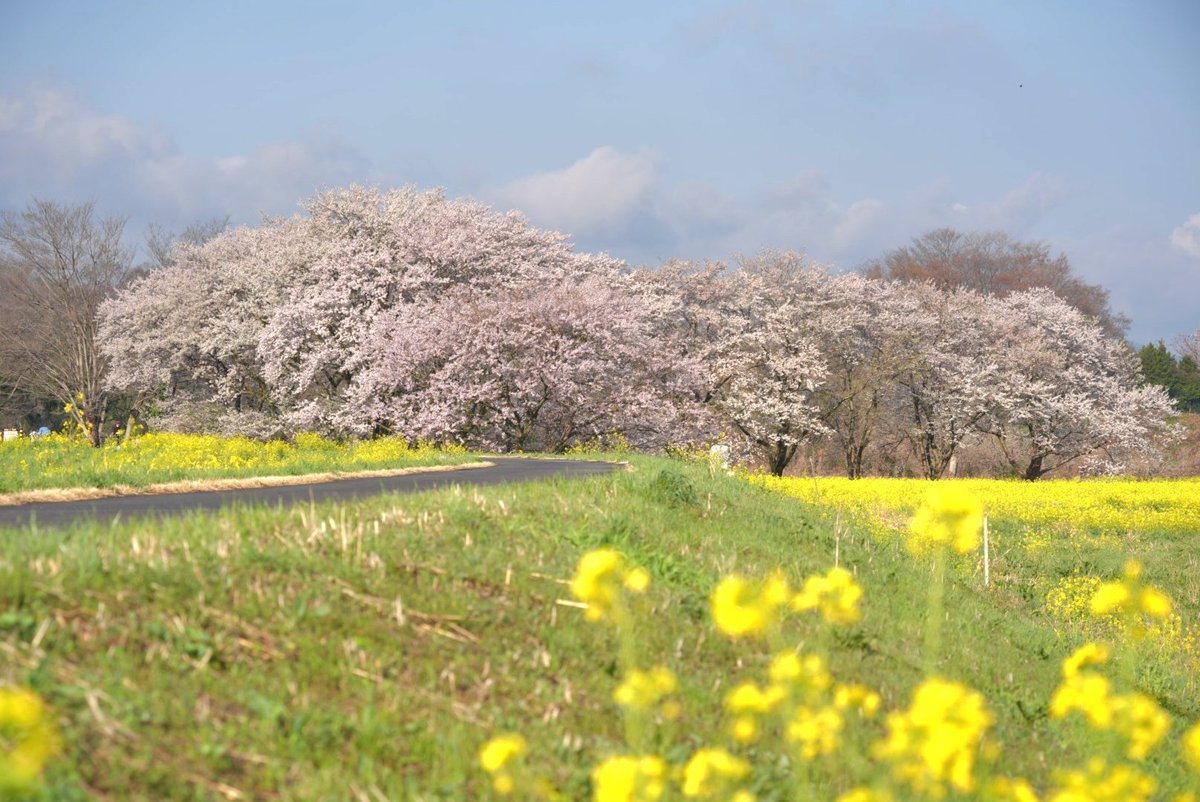 @ くっすぃー @ tweet media