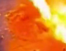 US History tweet media