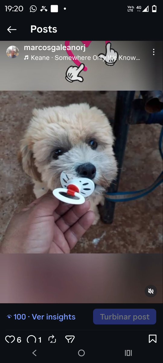 Pátria Minha tweet media