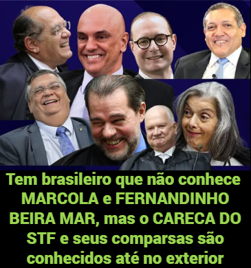 MARIA D S CAMBEIRO tweet media