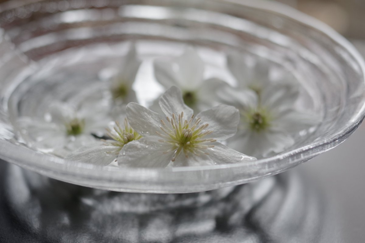 桜庵の月餅と…
#木漏れ日のお茶会
#中国茶