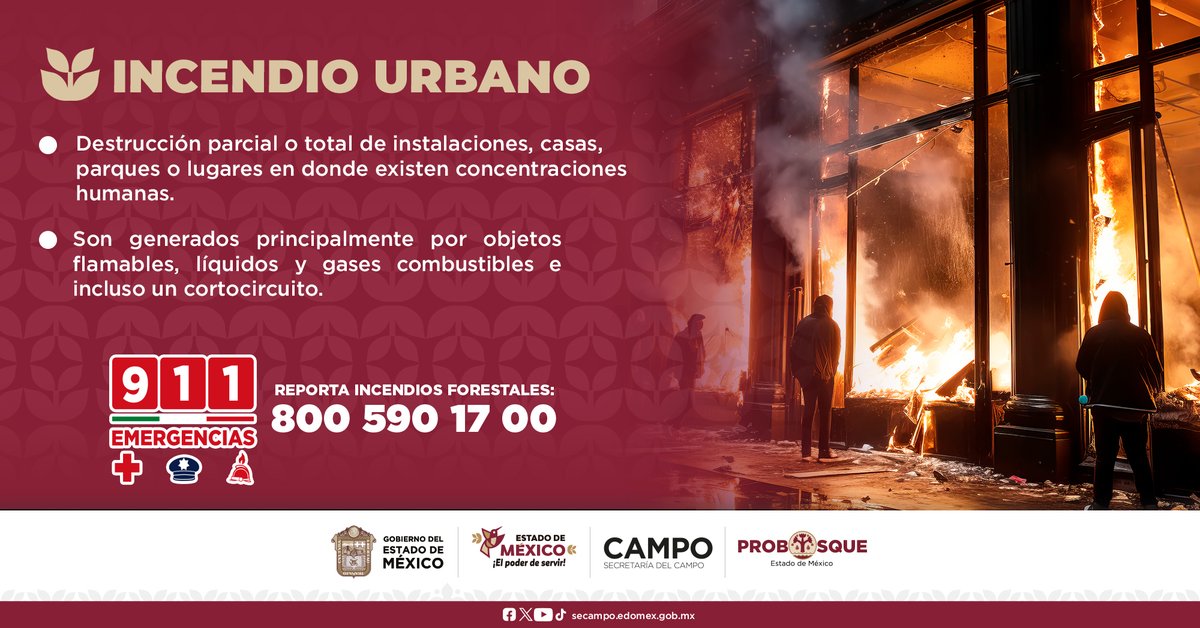 PROBOSQUE tweet media