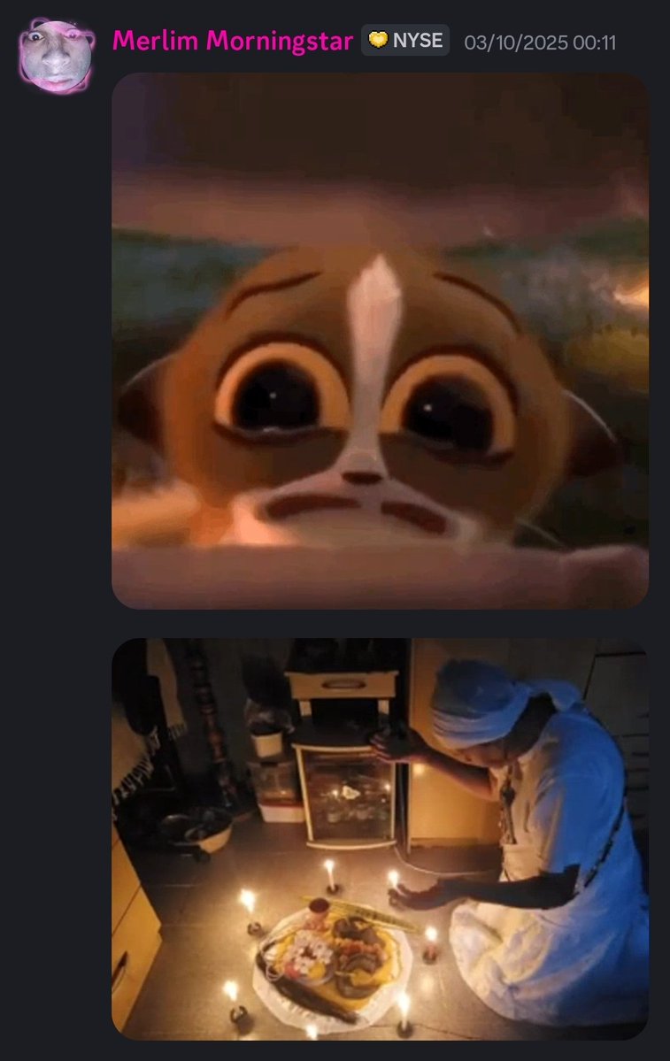 Merlim 🍄 PROJECT NYSE tweet media