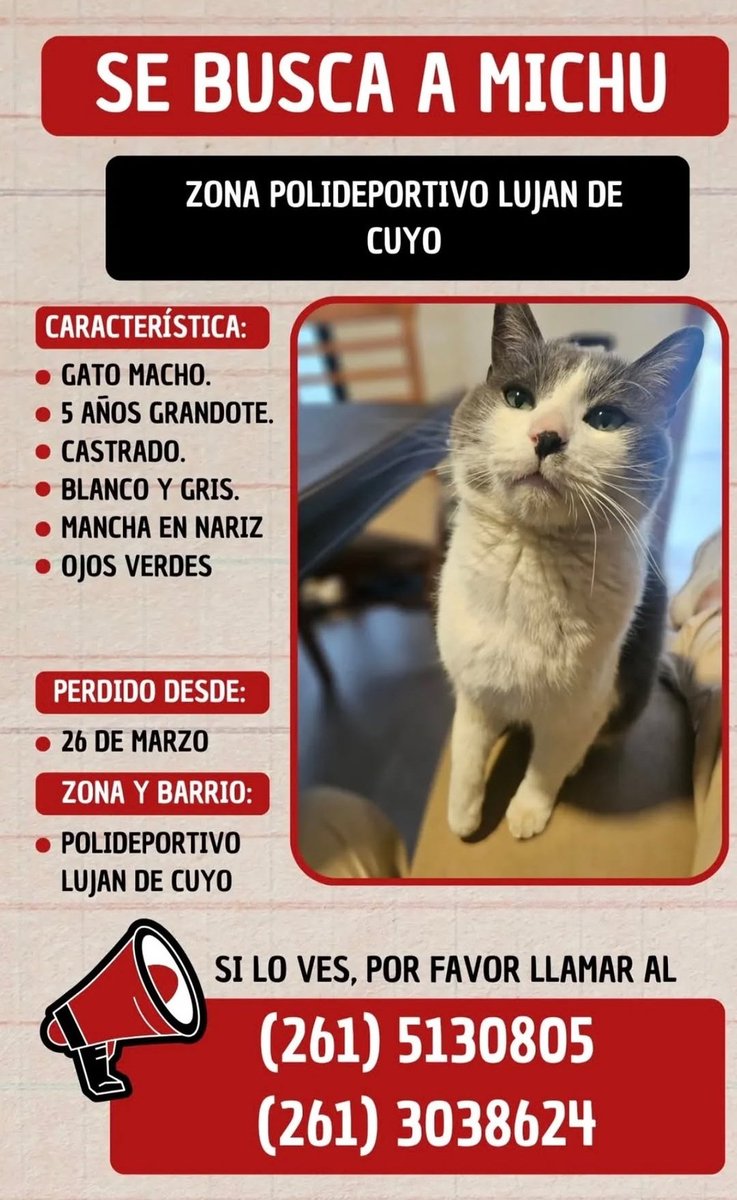 Maléfica♡ tweet media