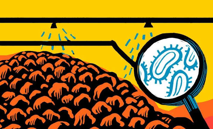 Ultravioleta_radio tweet media