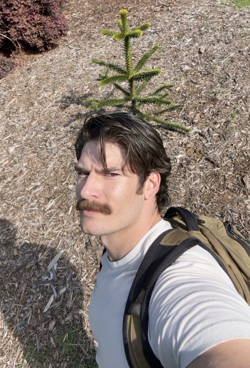 Matthew Gaston tweet media