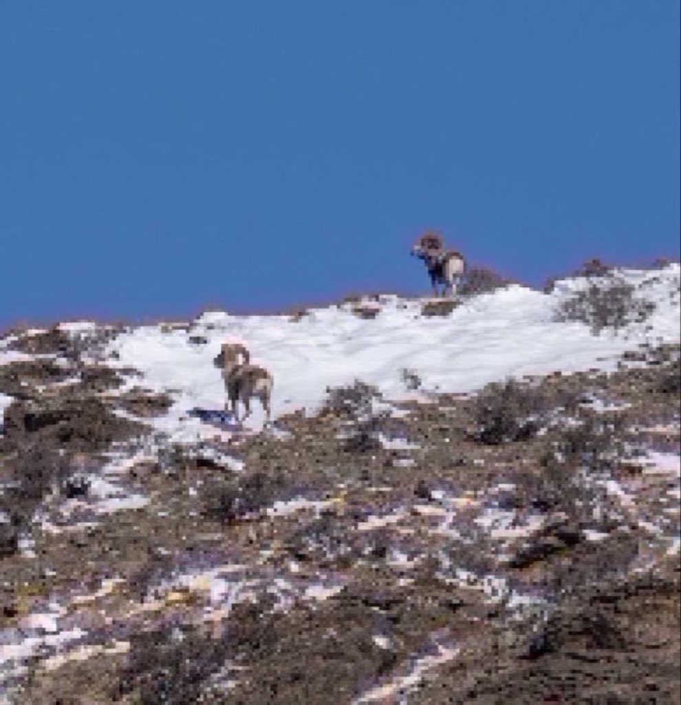 Иншүрко даатгал tweet media