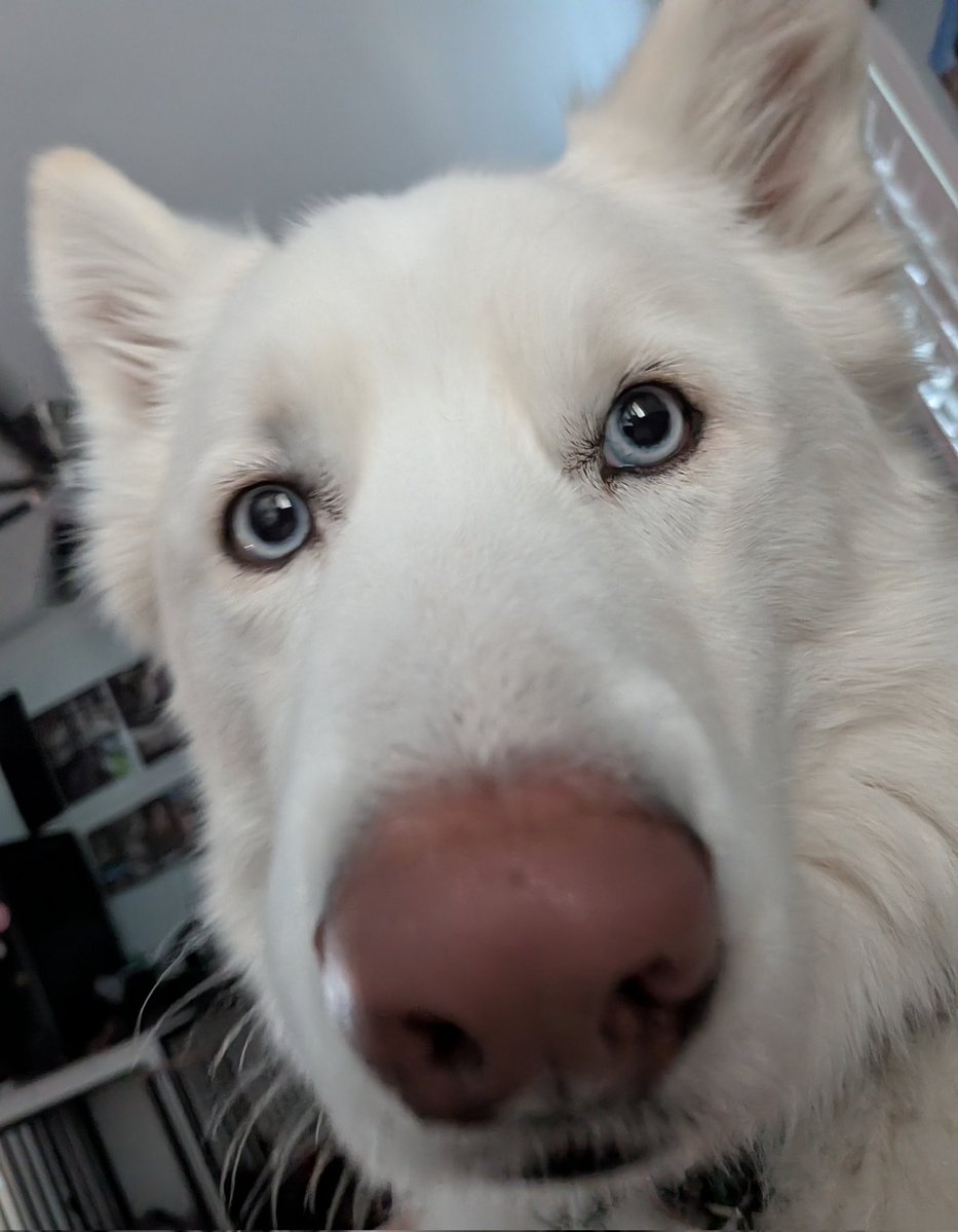 Spuds Mustache tweet media