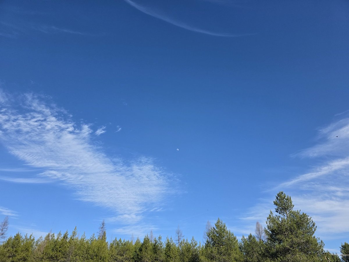 Spocklee tweet media