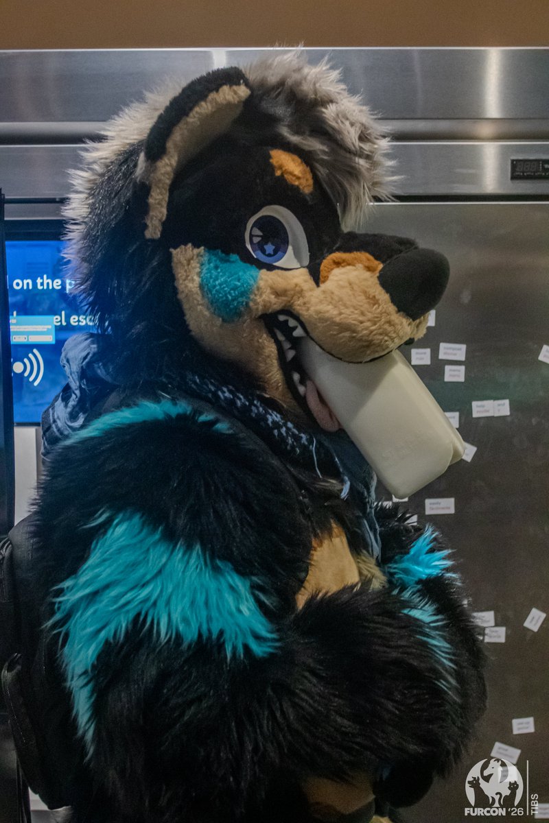 Kayne Ein/Koi (kayne-ein.bsky.social) ➡ LVFC | AC tweet media