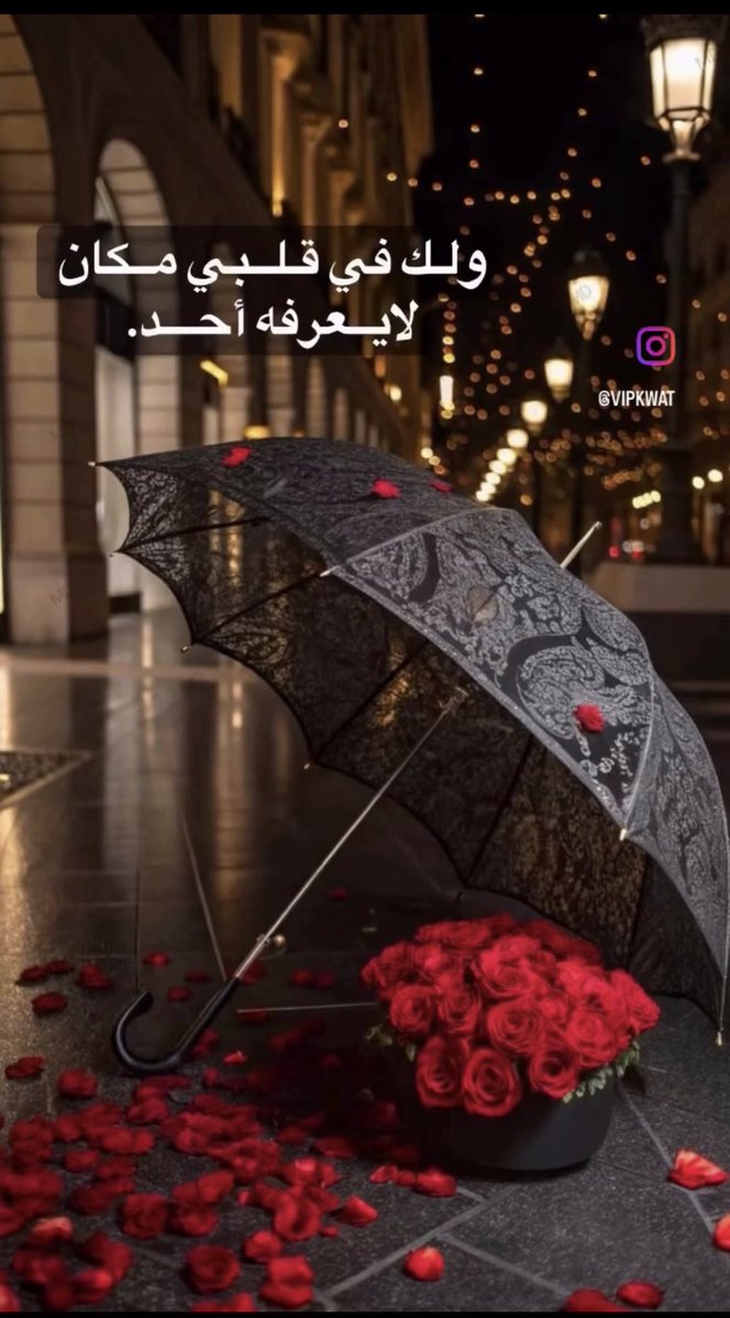 ♥️قمر الزمانً🌹.🦌 tweet media