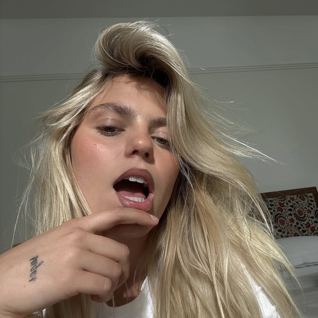 Hay 🎱 tweet media