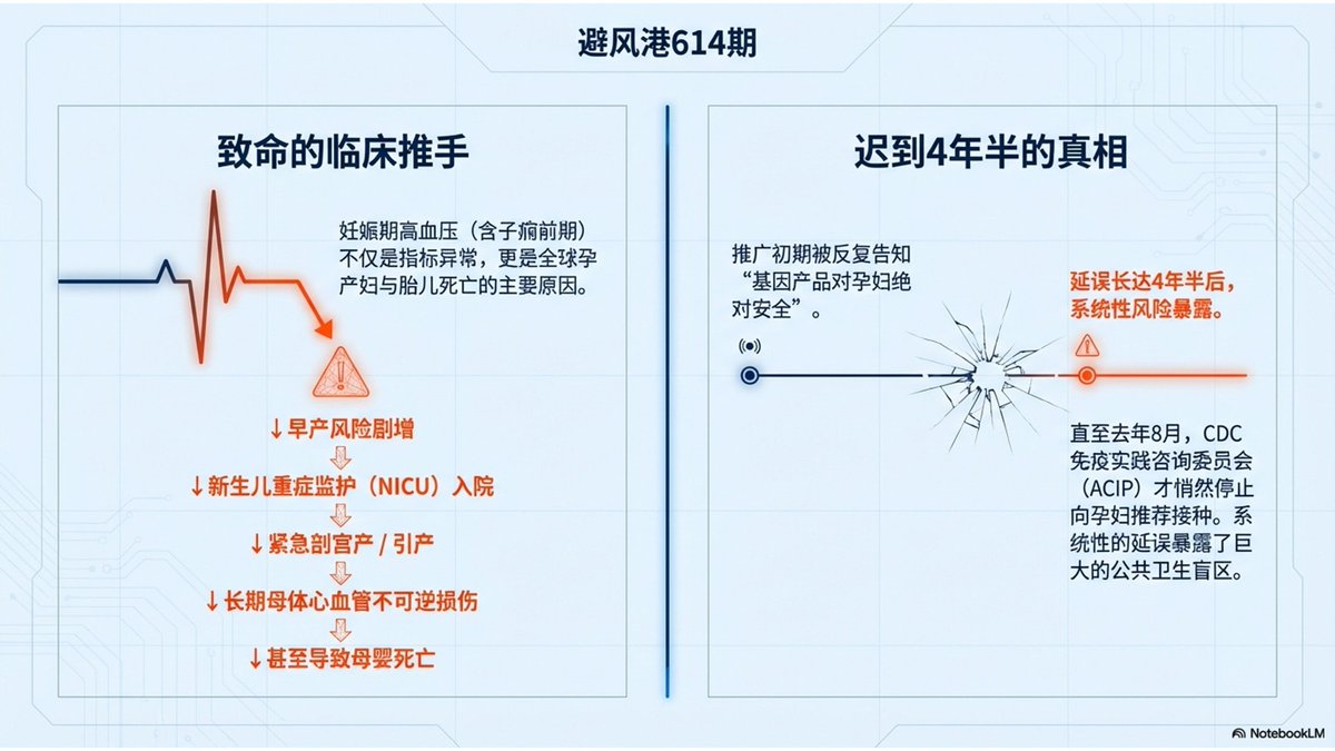 避风港 tweet media