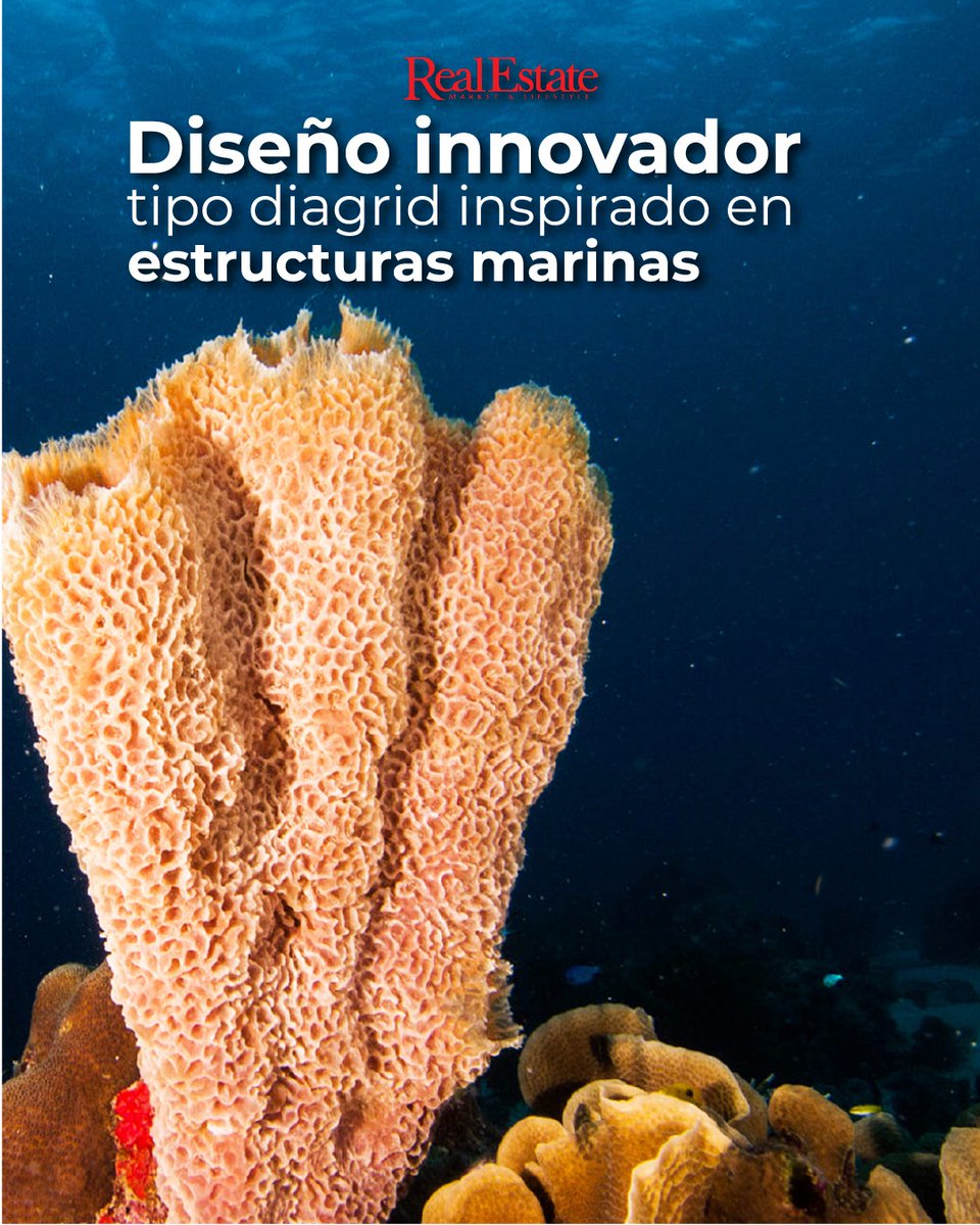 Real Estate Market tweet media