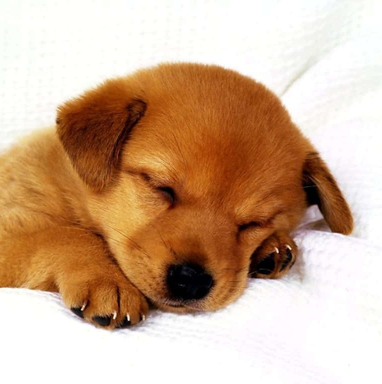 QG do POP tweet media