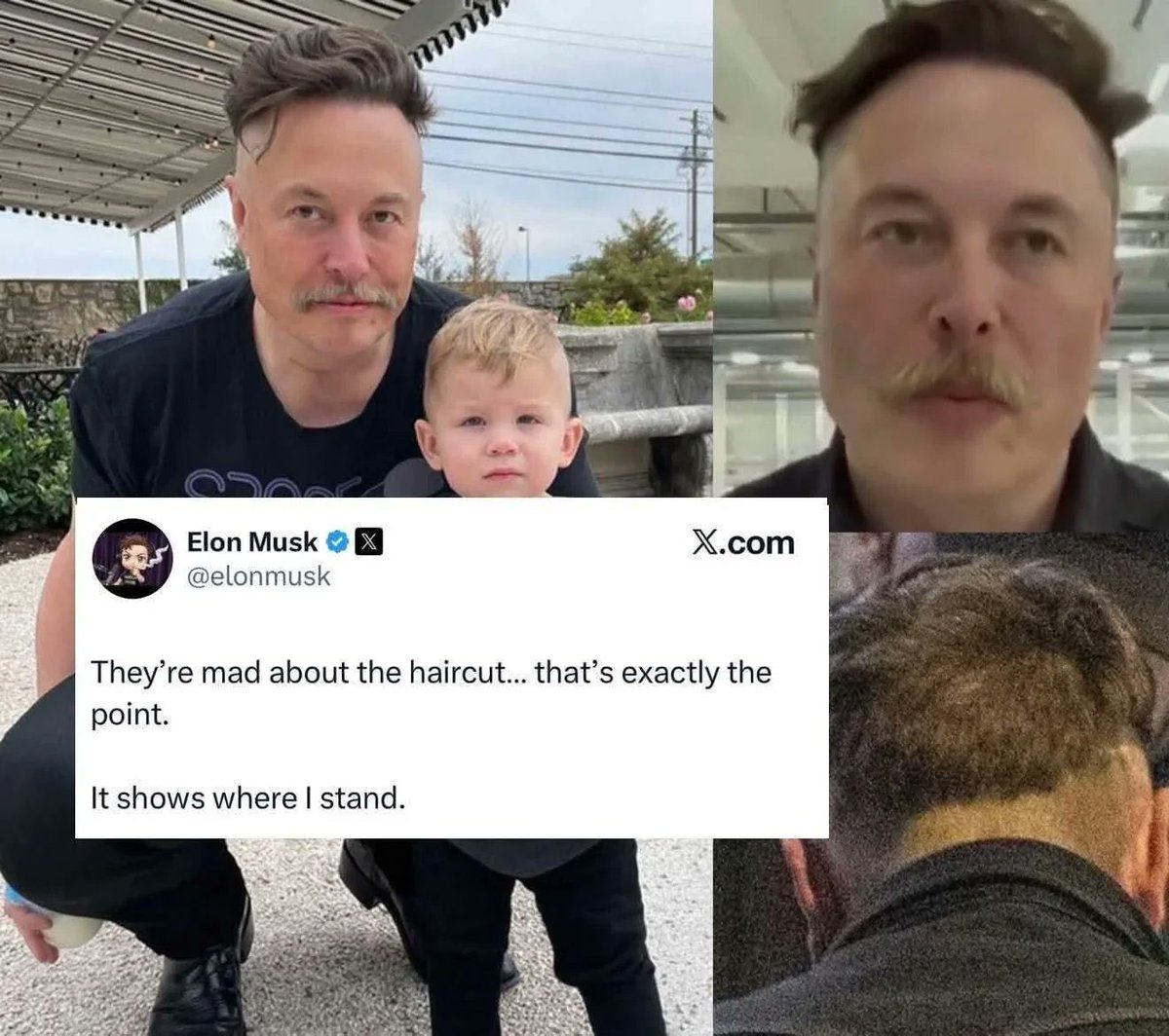 Four Seasons Total Landscaping tweet media