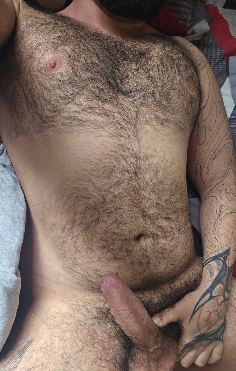 🐻 tweet media