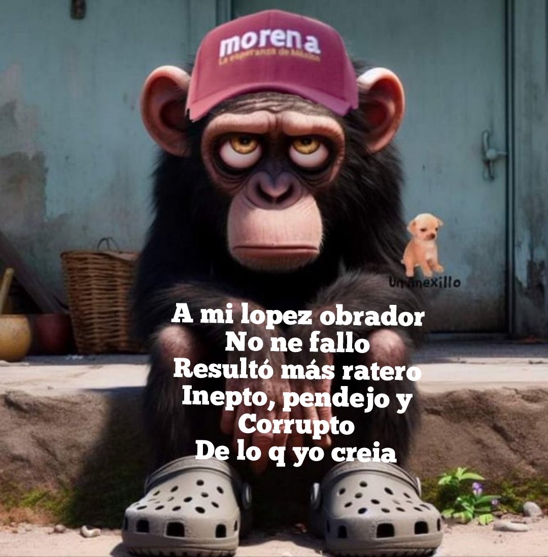 El Gran Toby tweet media