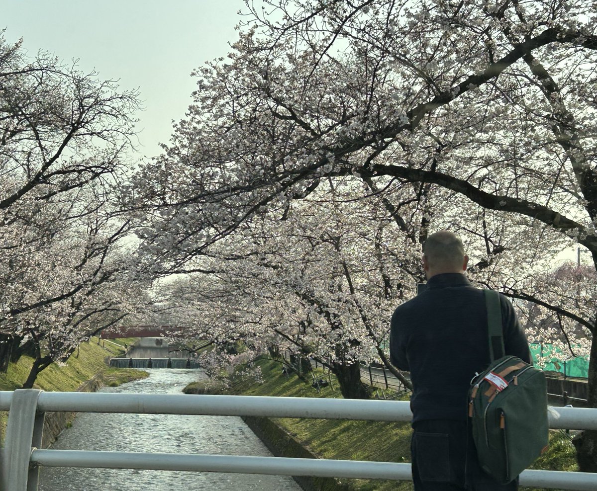 eins1_jp's tweet image. 五条川の桜🌸

#アインツ #eins #ロボット #ハンド #パーツ #チャック板 #スター精機 #桜 #大口町 #五条川
