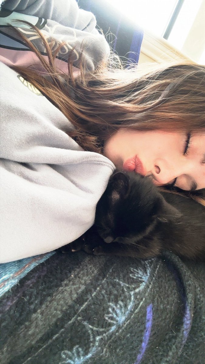 csea? ♡ tweet media