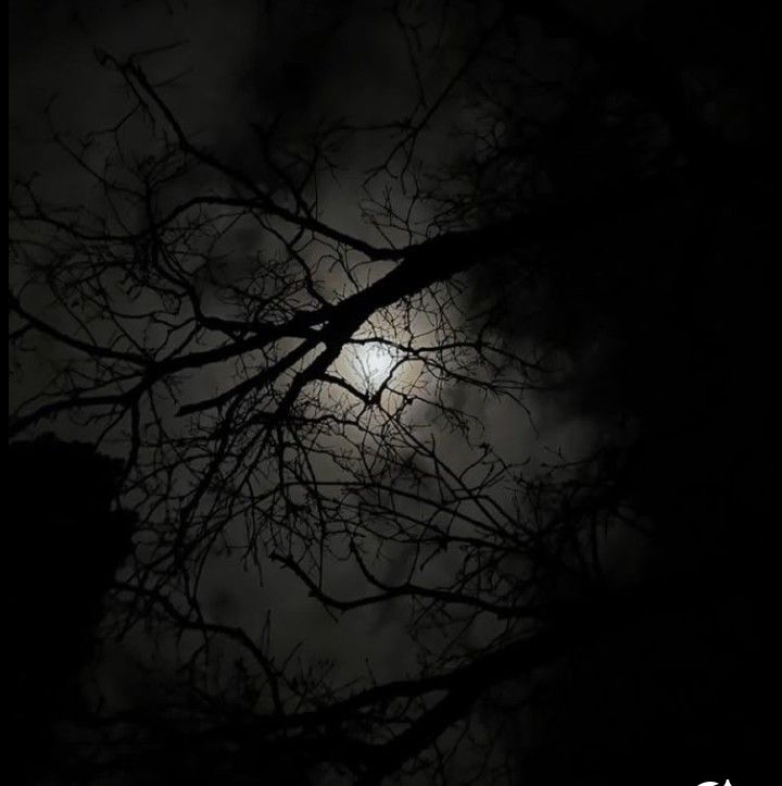 aul piwpiw tweet media