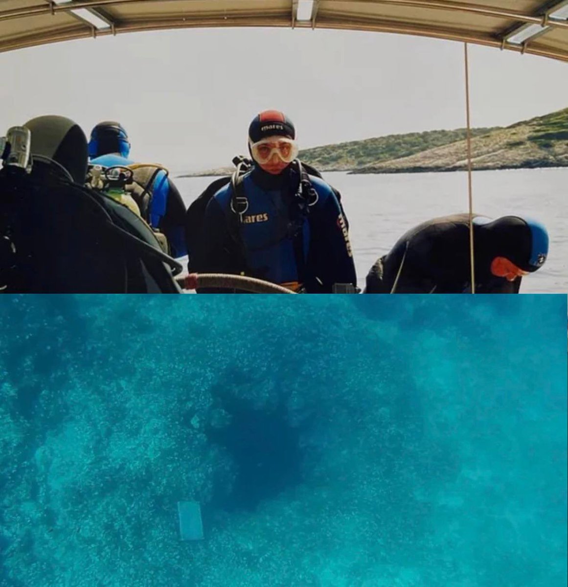 Morbid Knowledge tweet media