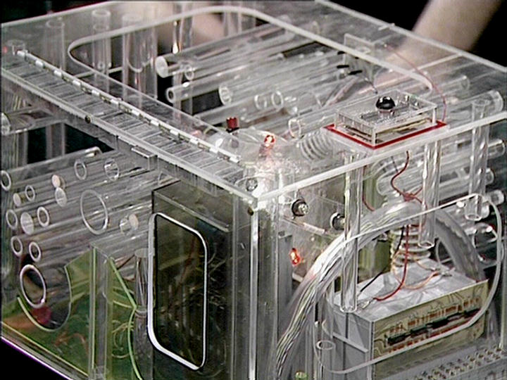 Climate Warrior🐬 #ClimateJustice🇵🇸🏳️‍⚧️🏳️‍🌈 tweet media