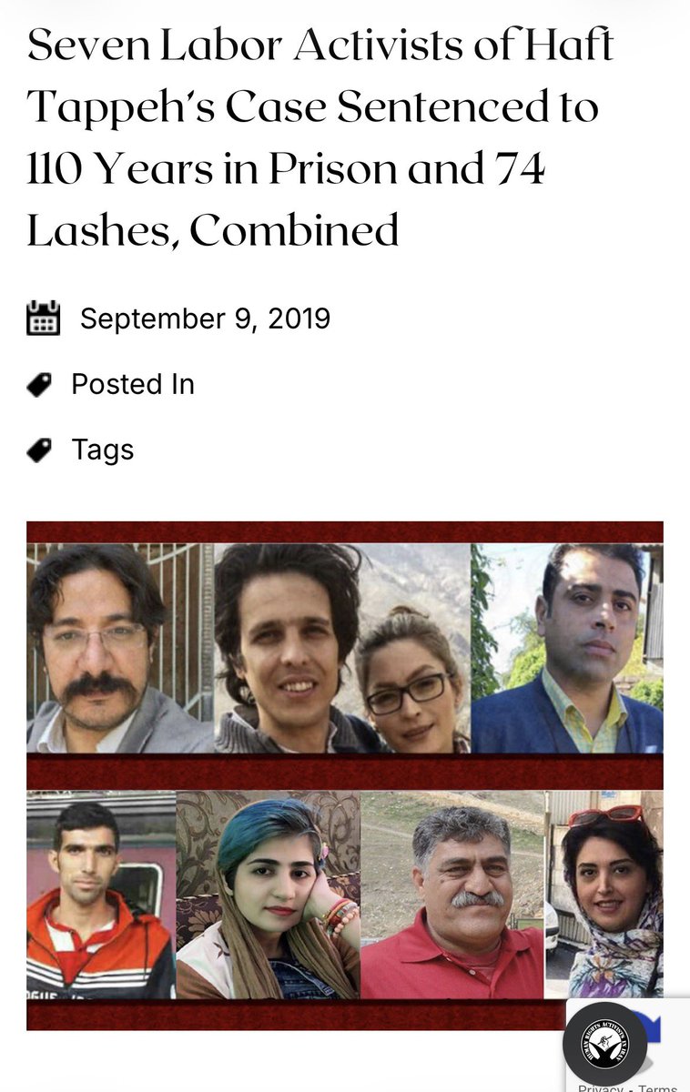 𐬴 سوسمار 🇺🇸🇮🇷 tweet media