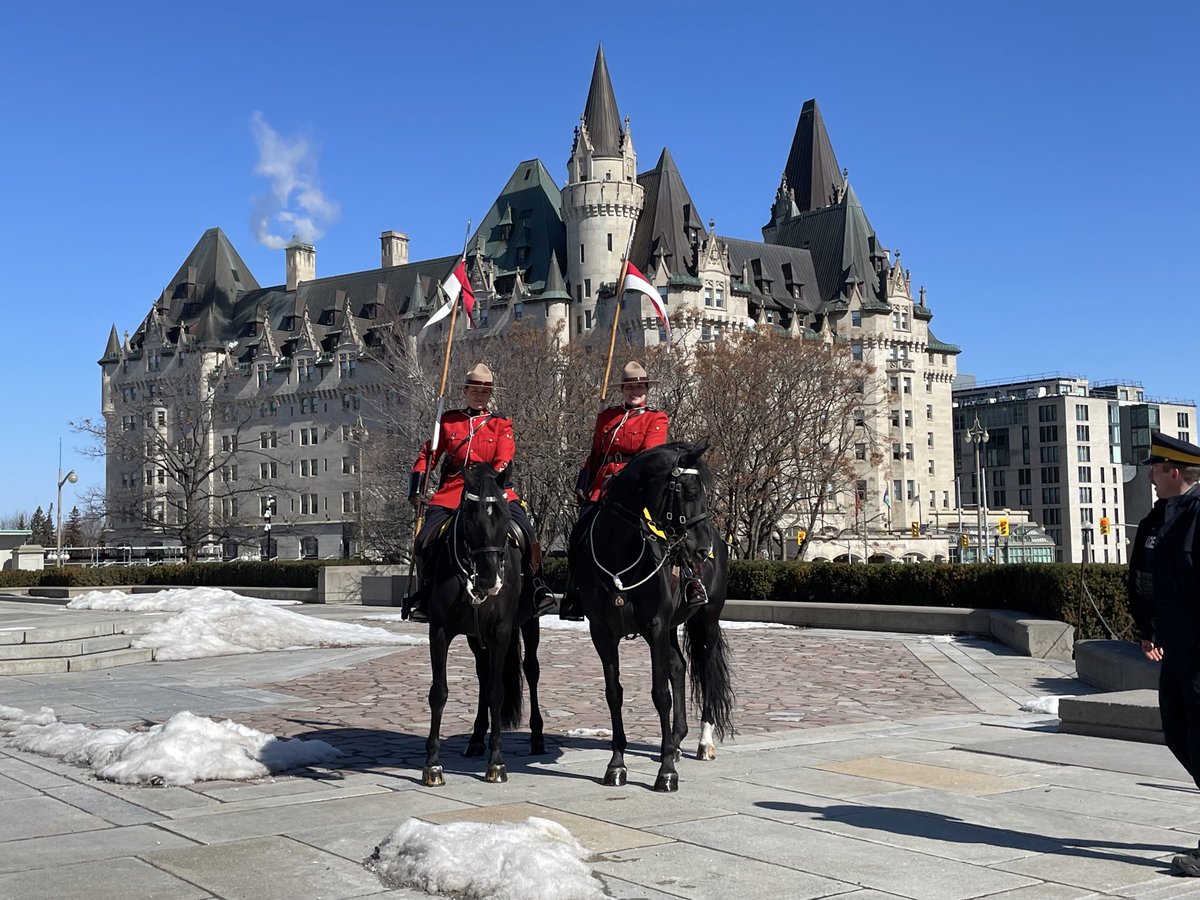 Laila Goodridge tweet media