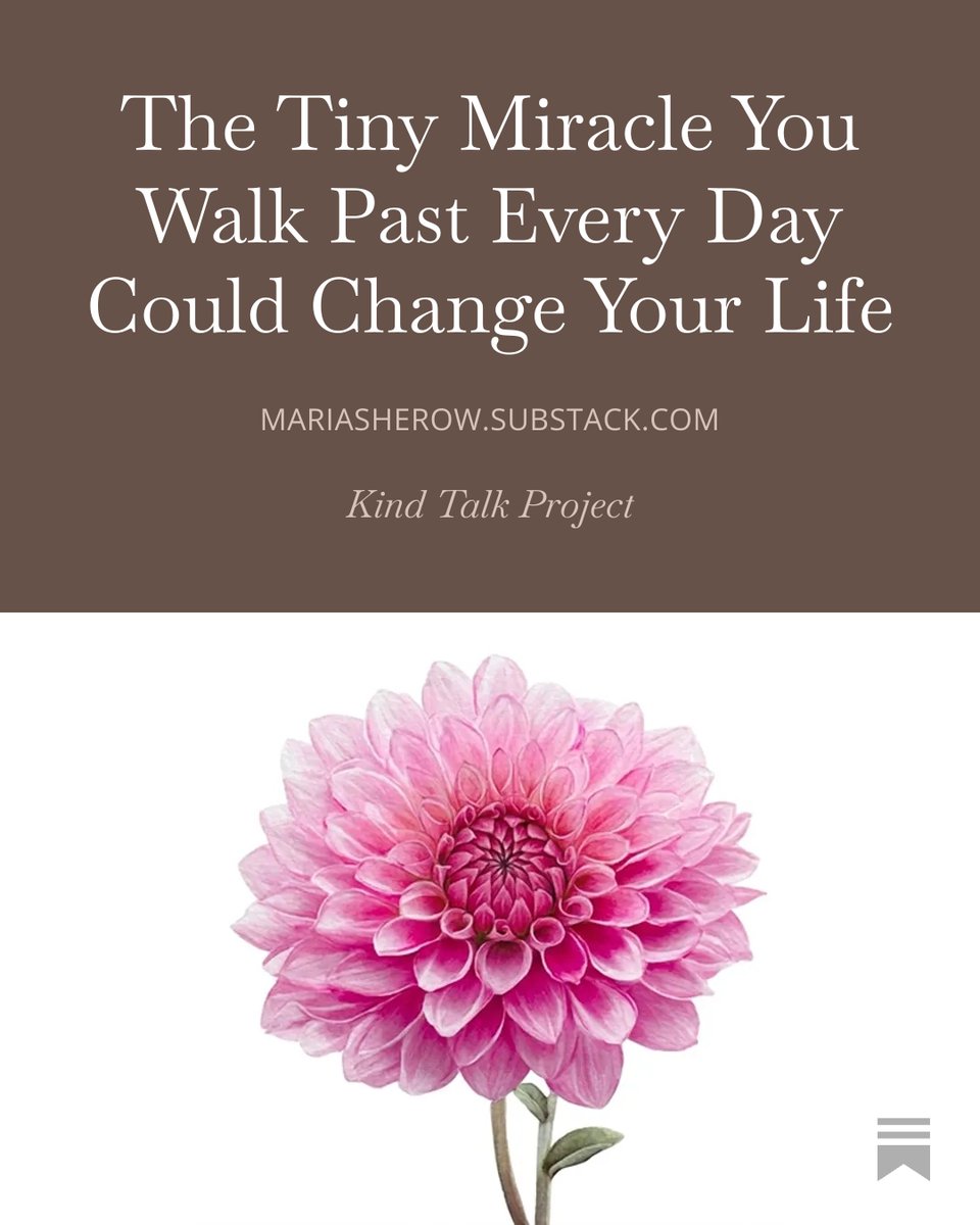 Maria Sherow tweet media