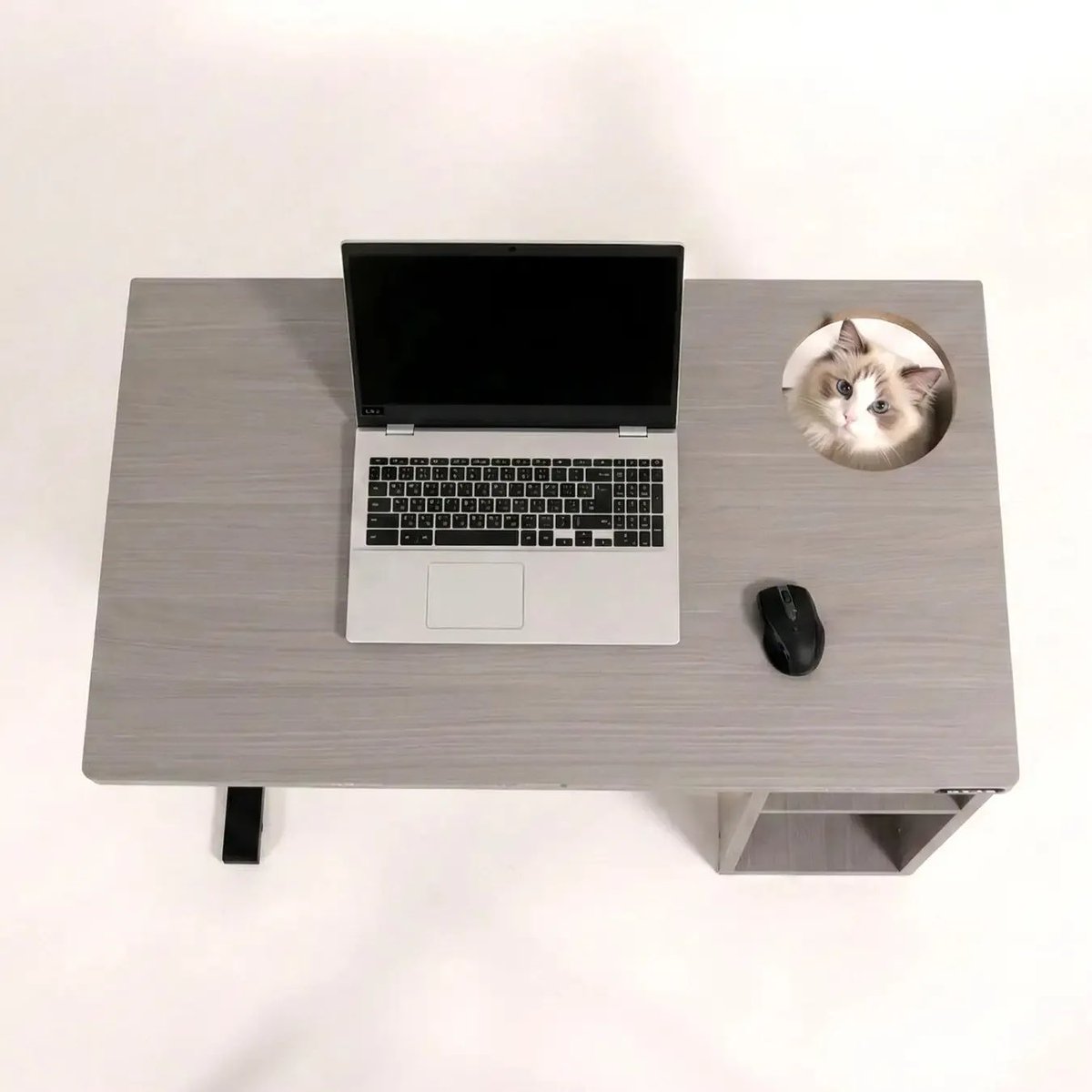 Jeremy Lu tweet media