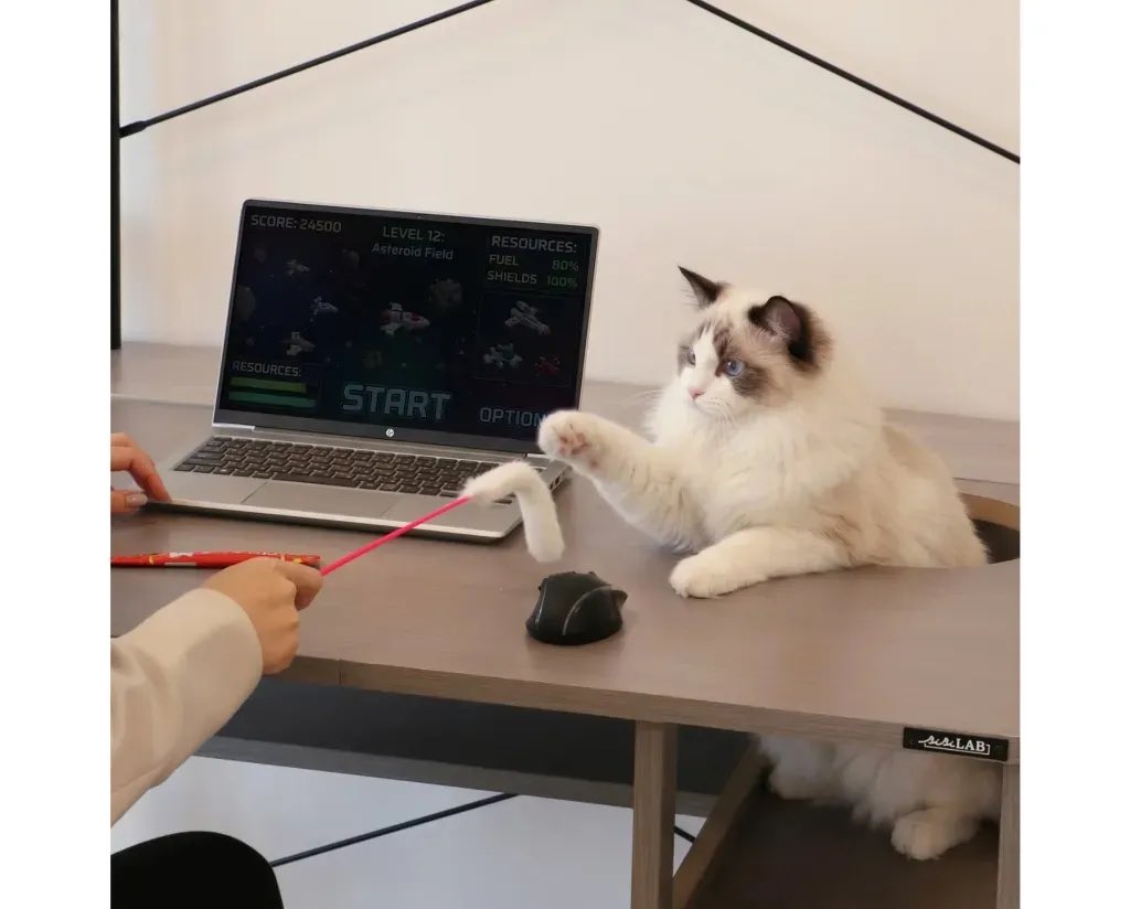 Jeremy Lu tweet media